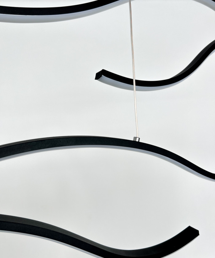 Branches