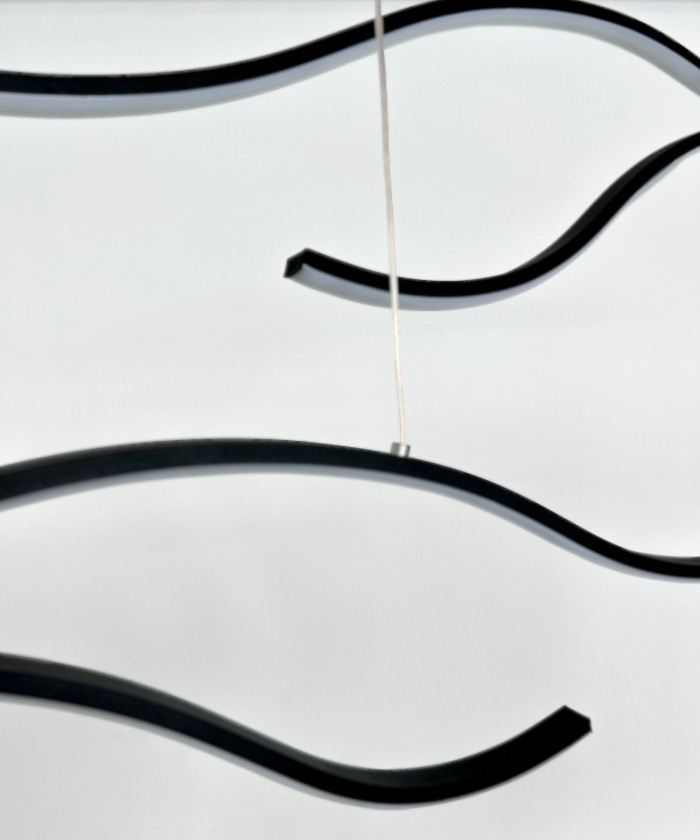 Branches