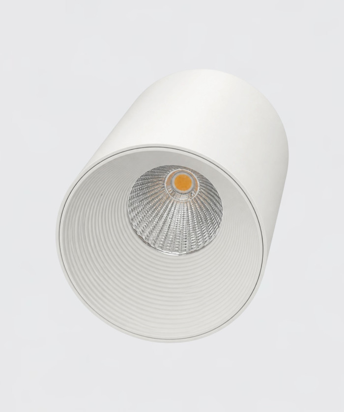 Точечный светильник Focus white L