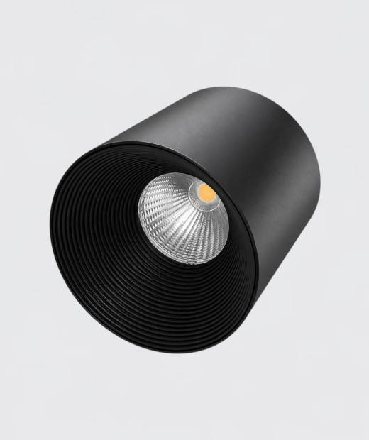 Точковий світильник Focus black L