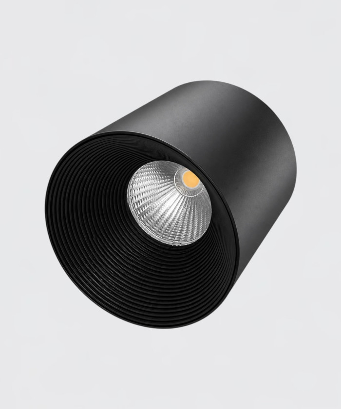 Точковий світильник Focus black L