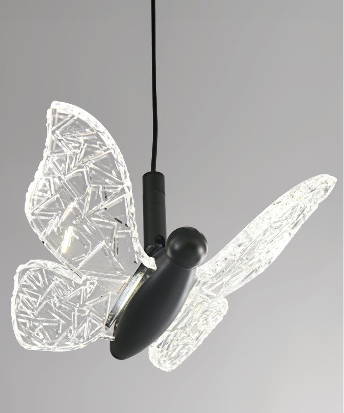 Butterflies (Medium)