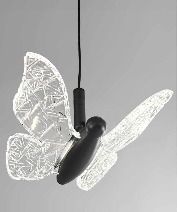 Butterflies (Large)